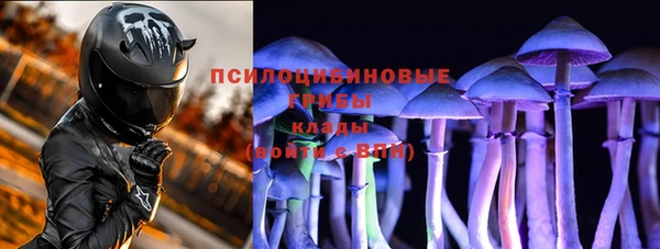 МДПВ Новодвинск