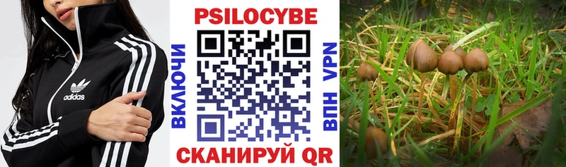 Псилоцибиновые грибы прущие грибы  МЕГА ССЫЛКА  Крымск  где купить  